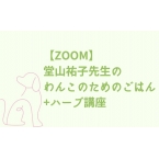 【ZOOM...